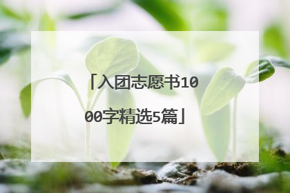 入团志愿书1000字精选5篇