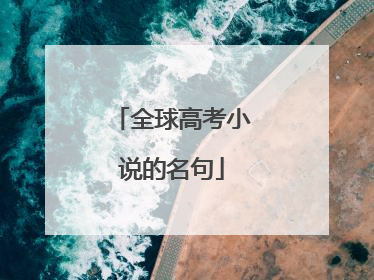 全球高考小说的名句