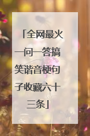 全网最火一问一答搞笑谐音梗句子收藏六十三条