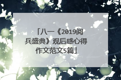 八一《2019阅兵盛典》观后感心得作文范文5篇