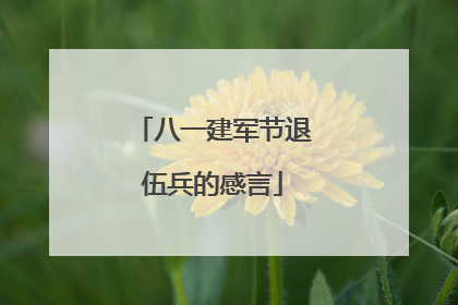 八一建军节退伍兵的感言