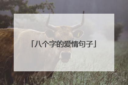 八个字的爱情句子