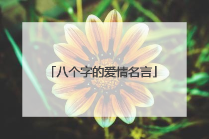 八个字的爱情名言