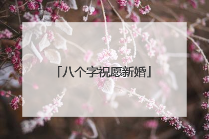 八个字祝愿新婚