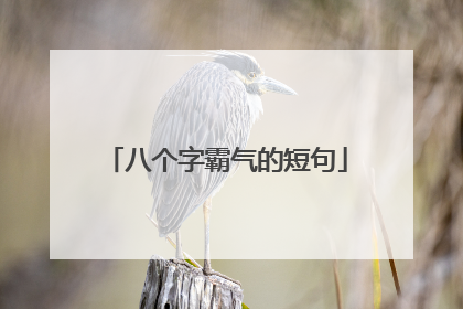 八个字霸气的短句