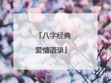 八字经典爱情语录