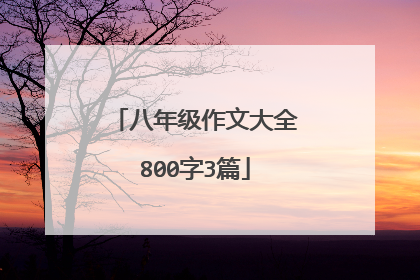 八年级作文大全800字3篇