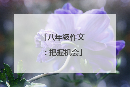 八年级作文：把握机会