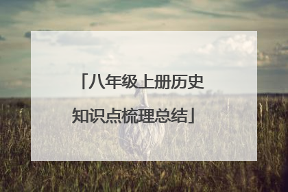 八年级上册历史知识点梳理总结