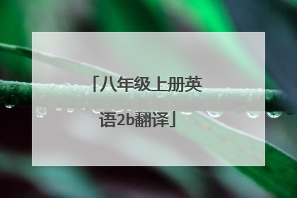 八年级上册英语2b翻译