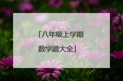 八年级上学期数学题大全