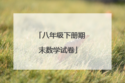 八年级下册期末数学试卷