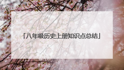 八年级历史上册知识点总结