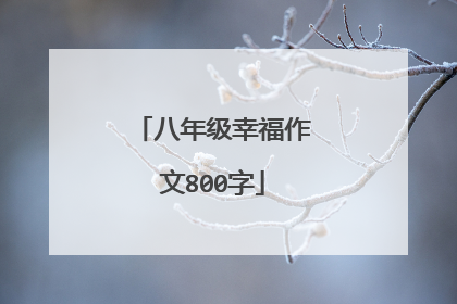 八年级幸福作文800字