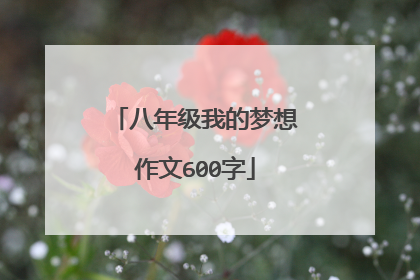 八年级我的梦想作文600字