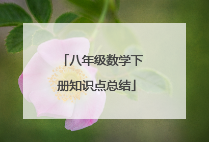 八年级数学下册知识点总结