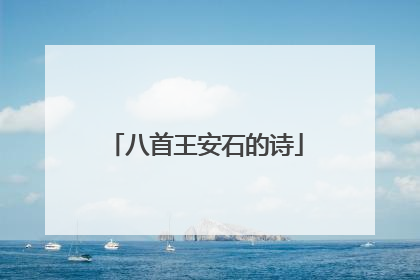 八首王安石的诗