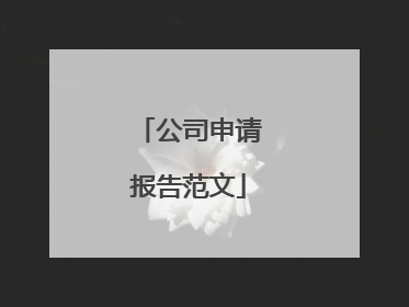 公司申请报告范文