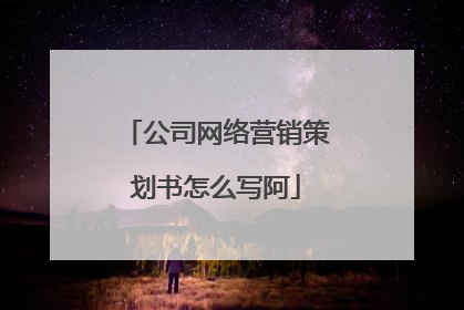 公司网络营销策划书怎么写阿