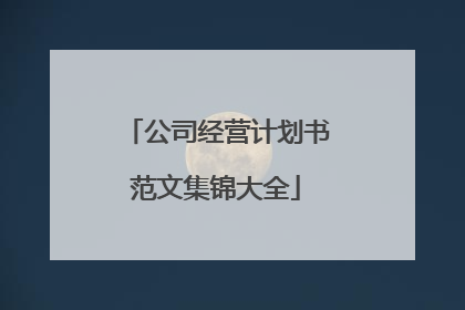 公司经营计划书范文集锦大全