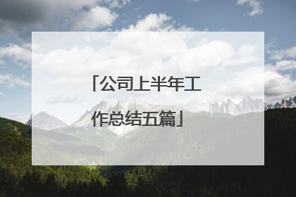 公司上半年工作总结五篇