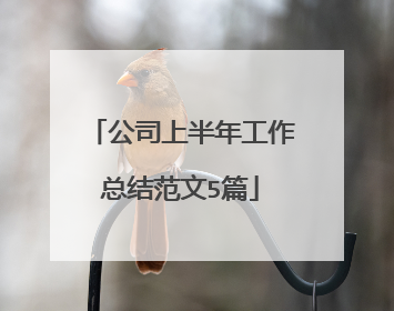 公司上半年工作总结范文5篇