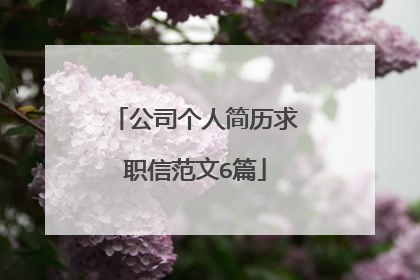 公司个人简历求职信范文6篇