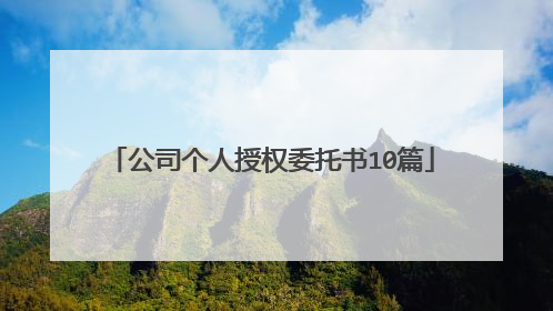 公司个人授权委托书10篇