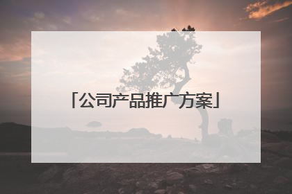 公司产品推广方案