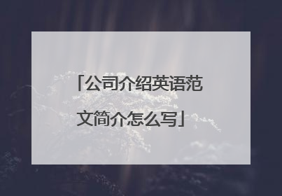 公司介绍英语范文简介怎么写