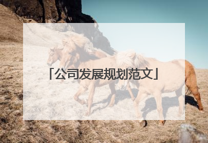 公司发展规划范文