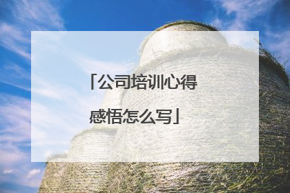 公司培训心得感悟怎么写