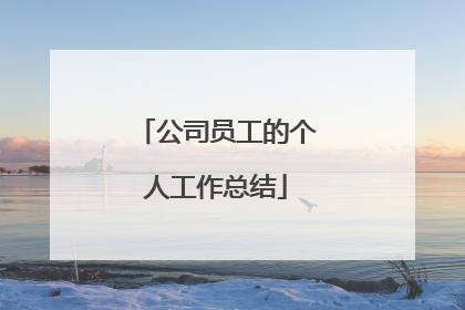 公司员工的个人工作总结