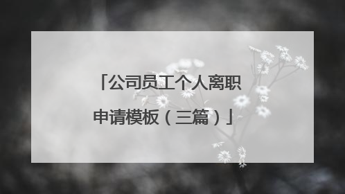 公司员工个人离职申请模板（三篇）