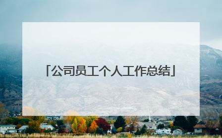 公司员工个人工作总结