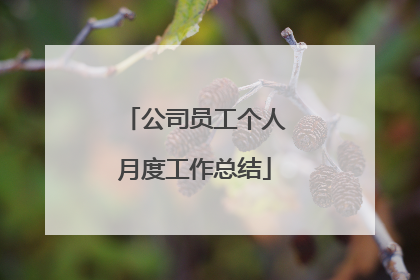 公司员工个人月度工作总结