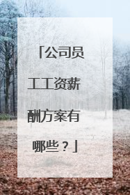 公司员工工资薪酬方案有哪些？