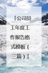 公司员工年度工作报告格式模板(三篇)