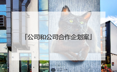 公司和公司合作企划案