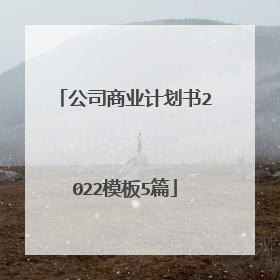 公司商业计划书2022模板5篇