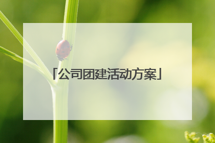 公司团建活动方案