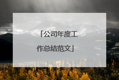 公司年度工作总结范文