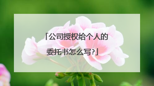公司授权给个人的委托书怎么写?