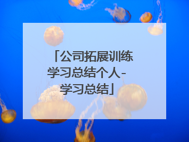 公司拓展训练学习总结个人-学习总结
