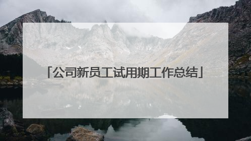 公司新员工试用期工作总结