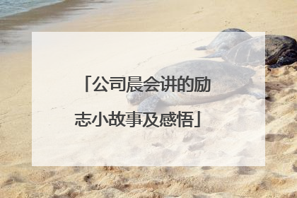 公司晨会讲的励志小故事及感悟