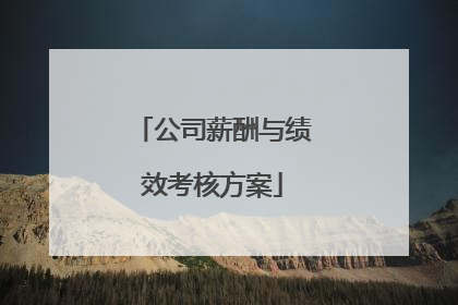 公司薪酬与绩效考核方案