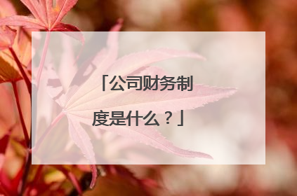 公司财务制度是什么？
