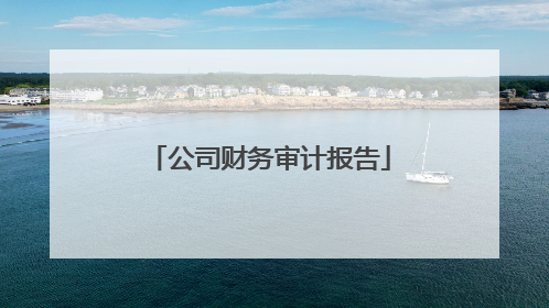 公司财务审计报告