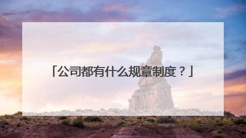 公司都有什么规章制度?